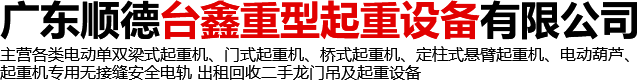 廣東順德臺鑫重型起重設(shè)備有限公司 